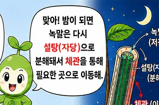 웹툰 1쪽 미리보기