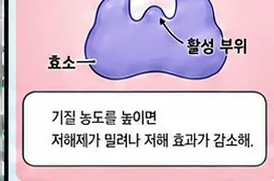 학습 그림 미리보기
