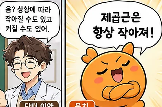학습 그림 미리보기