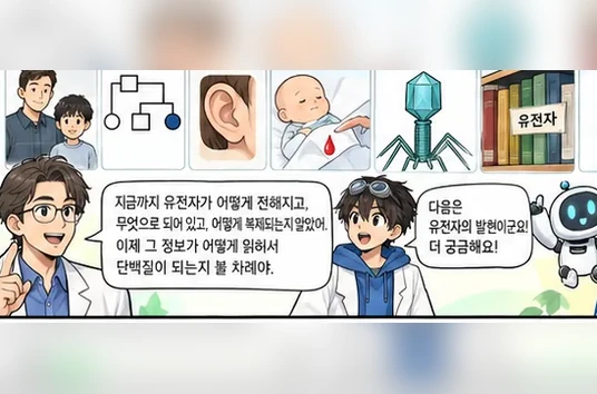 학습 그림 미리보기