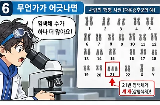 학습 그림 미리보기