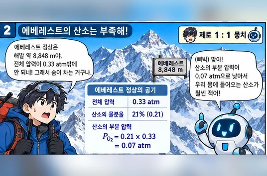 학습 그림 미리보기