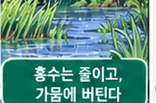 학습 그림 미리보기