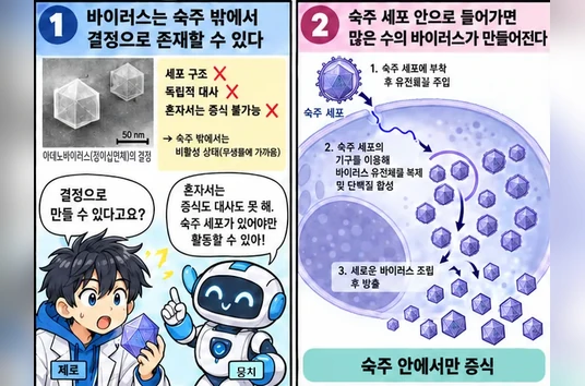 학습 그림 미리보기
