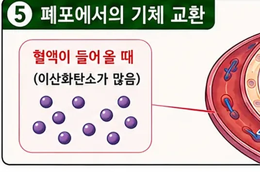 웹툰 1쪽 미리보기