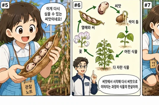 학습 그림 미리보기