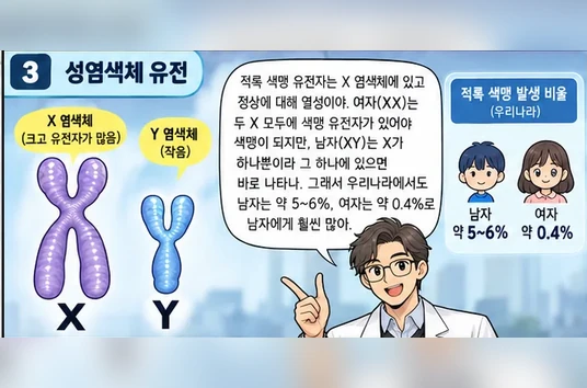 학습 그림 미리보기