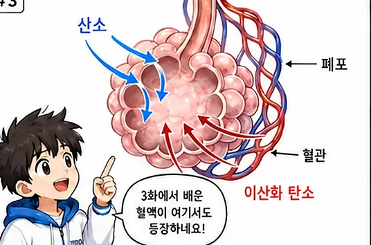 학습 그림 미리보기