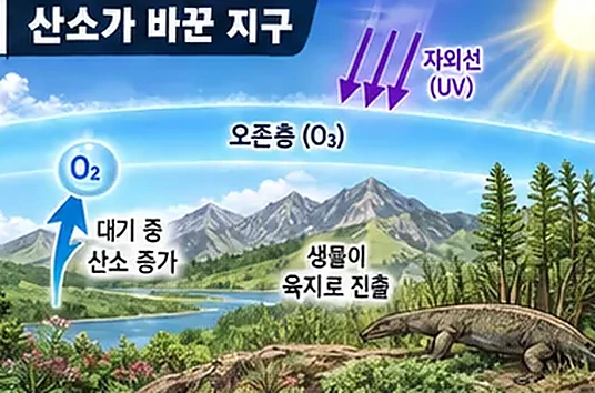 학습 그림 미리보기