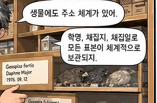 학습 그림 미리보기