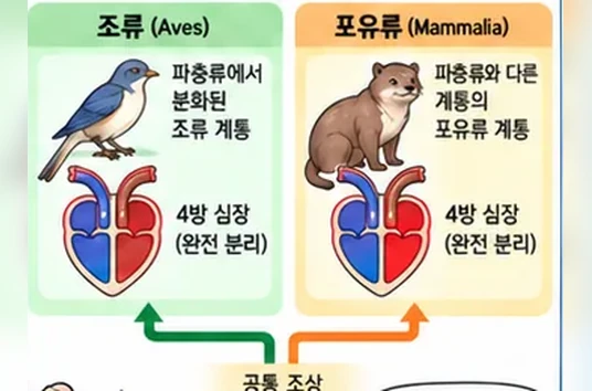 학습 그림 미리보기