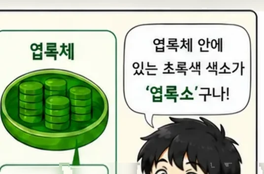 웹툰 1쪽 미리보기
