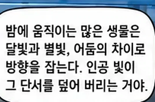 학습 그림 미리보기