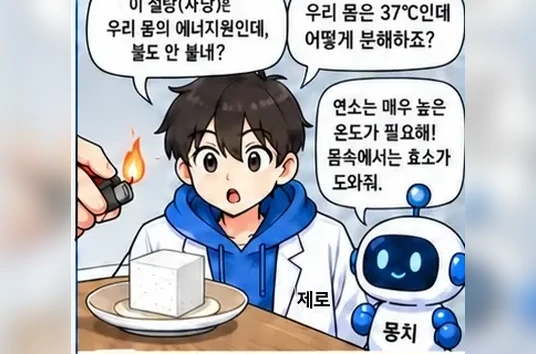 학습 그림 미리보기
