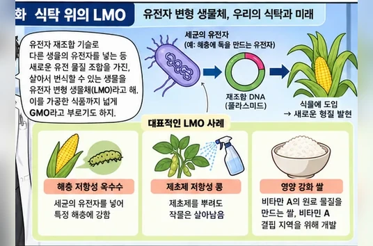 학습 그림 미리보기