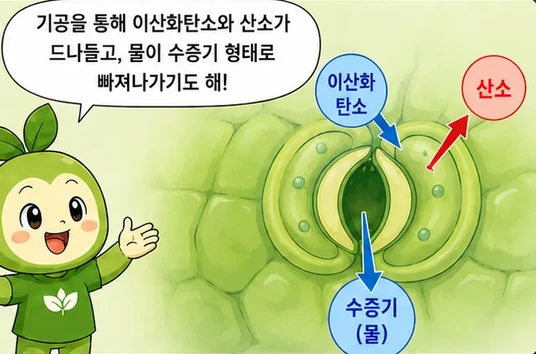 웹툰 1쪽 미리보기