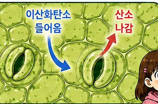 웹툰 1쪽 미리보기