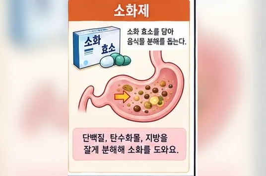 학습 그림 미리보기