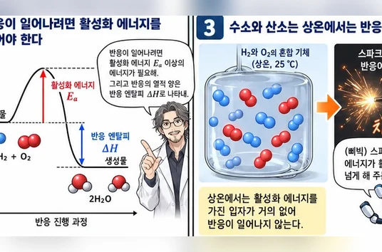 학습 그림 미리보기