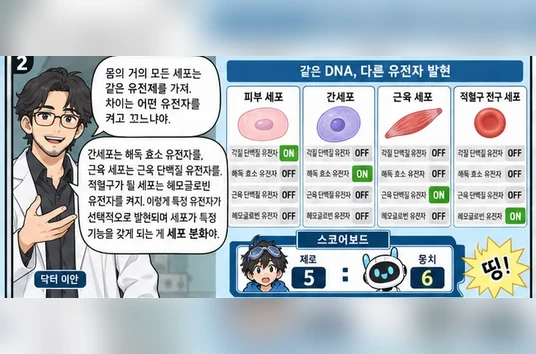 학습 그림 미리보기