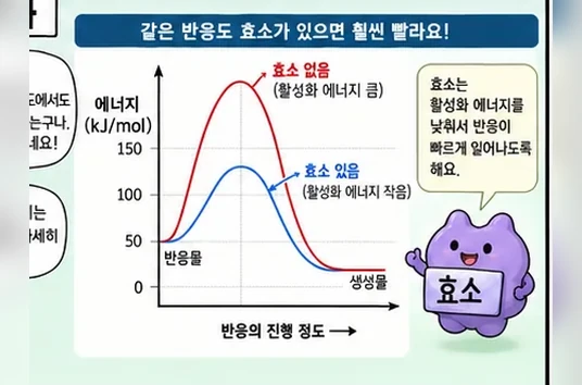 학습 그림 미리보기