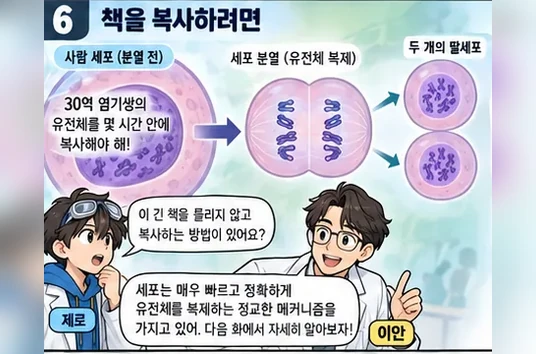 학습 그림 미리보기