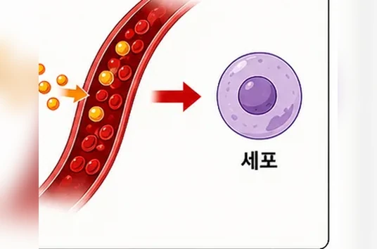 웹툰 1쪽 미리보기