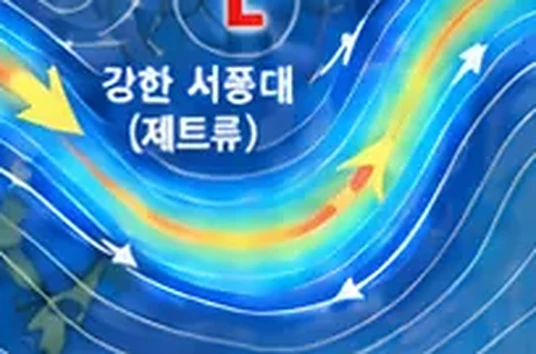 학습 그림 미리보기
