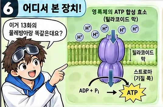 학습 그림 미리보기
