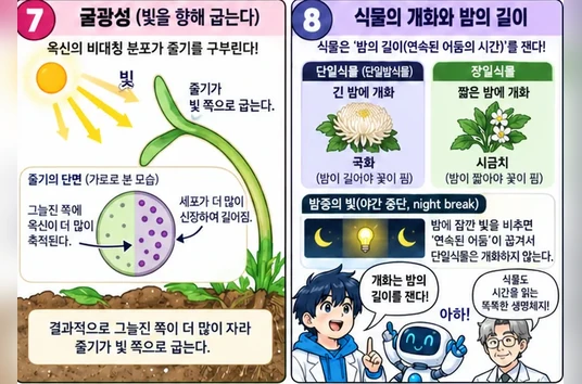학습 그림 미리보기