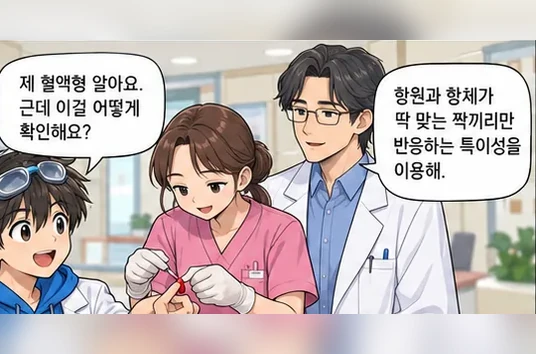 학습 그림 미리보기