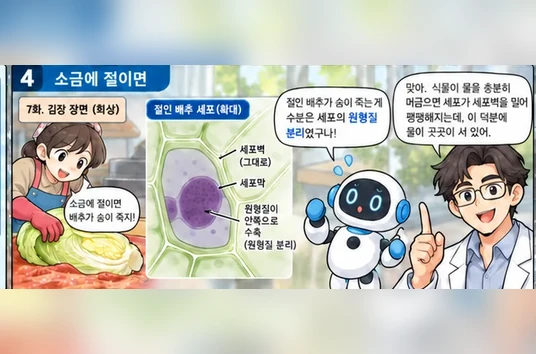 학습 그림 미리보기