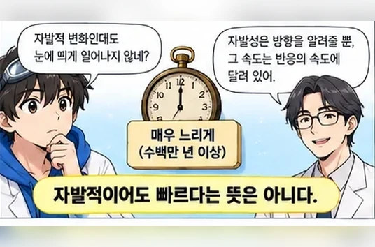 학습 그림 미리보기
