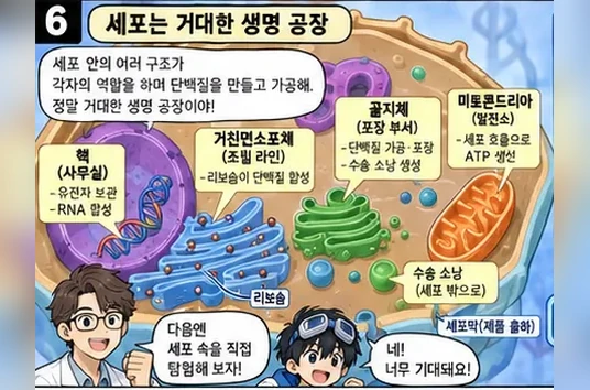 학습 그림 미리보기