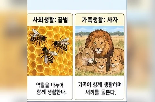 학습 그림 미리보기