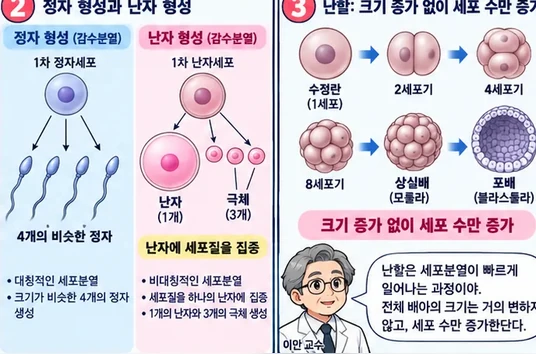 학습 그림 미리보기