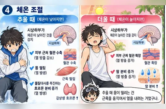 학습 그림 미리보기