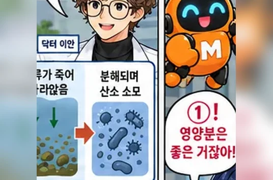 학습 그림 미리보기
